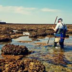 Los Corrales de Pesca de Chipiona: Un Monumento Natural y Paisajístico Único